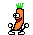 Z04 Carrot